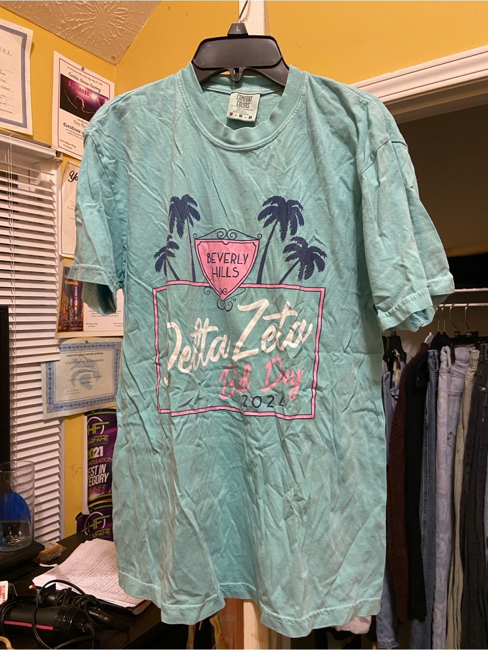 Turquoise Delta Zeta Sorority
Comfort Colors Shirt